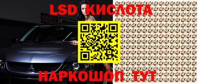 МДПВ Можга