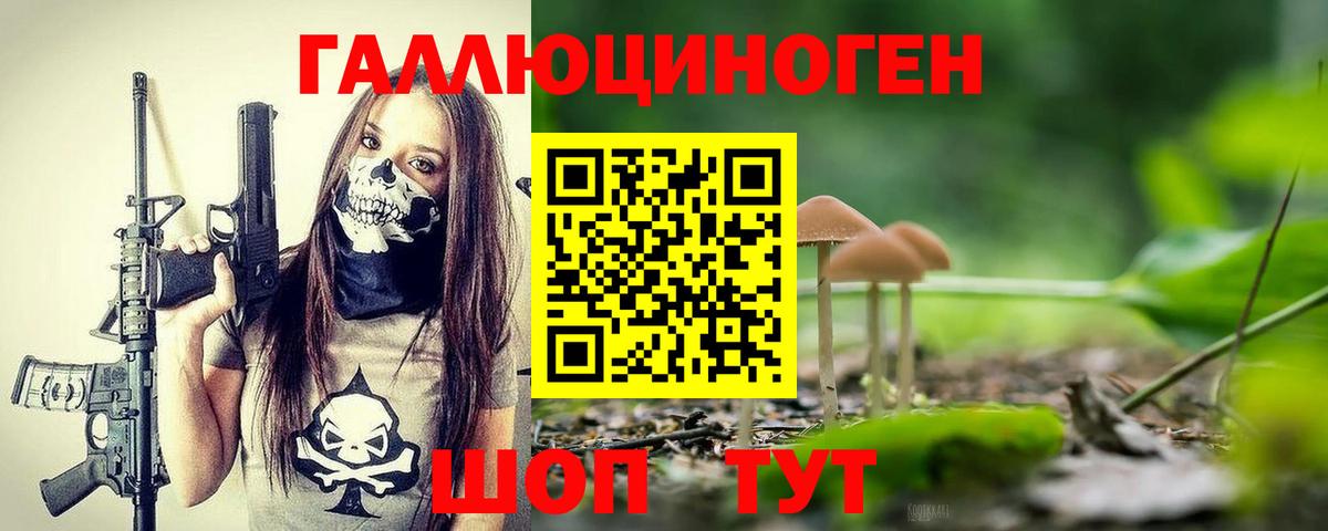Псилоцибиновые грибы Psilocybe  закладка  Псилоцибиновые грибы ЛСД  Дальнереченск  Вход с VPN 
